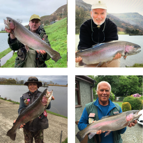 Trout caught at Graiglwyd Fisheries