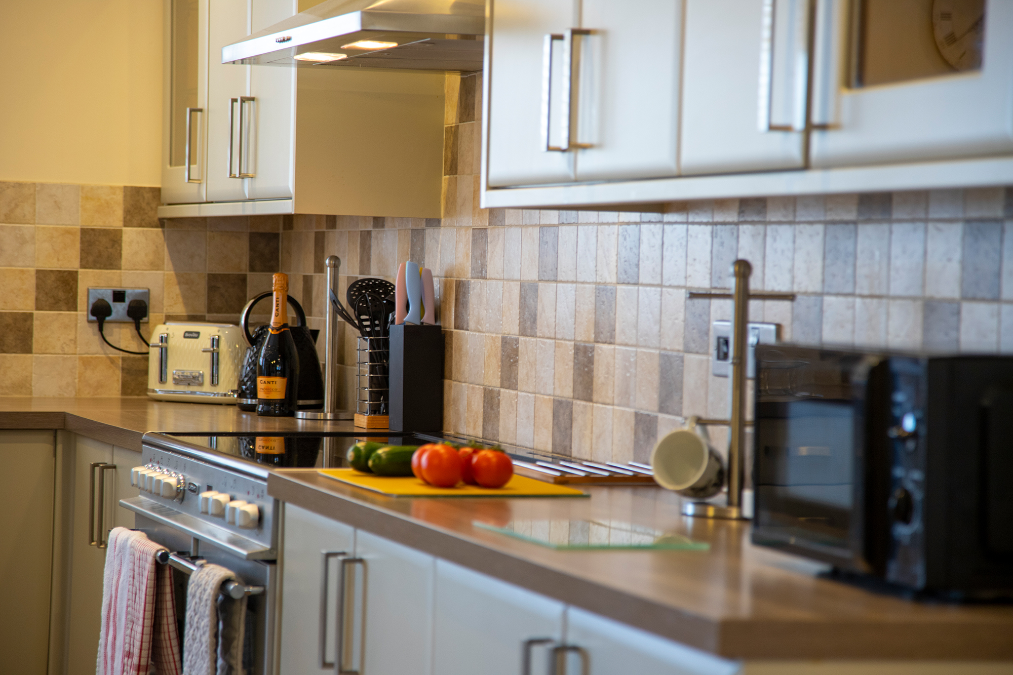 Graiglwyd Springs, Penmaenmawr - Sycamore cottage